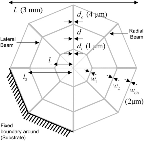 傳感器提出的蜘蛛網幾何形狀ã?