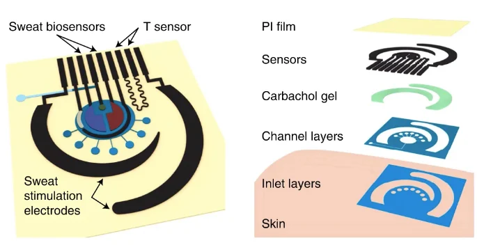 微流體汗液傳感貼片的層組裝示意圖